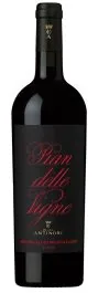 Bottiglia di Brunello di Montalcino 'Pian delle Vigne' Antinori 2021